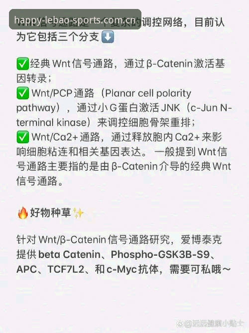 乐宝体育使用教程 乐宝体育平台全面评测:从注册到高阶玩法,一次搞懂全部使用教程